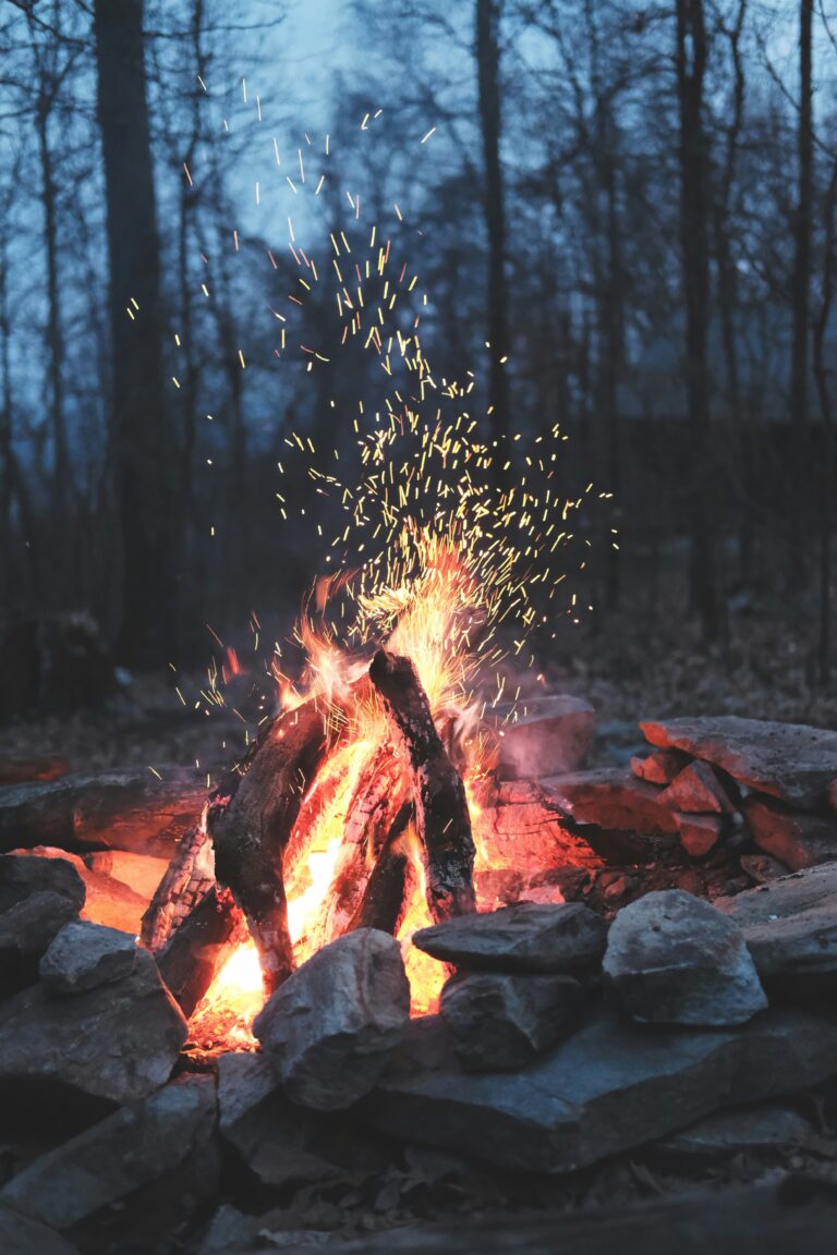 ayla-meinberg-xqV9QdGOSas-unsplash